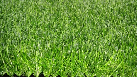 a grade quality artificial grass